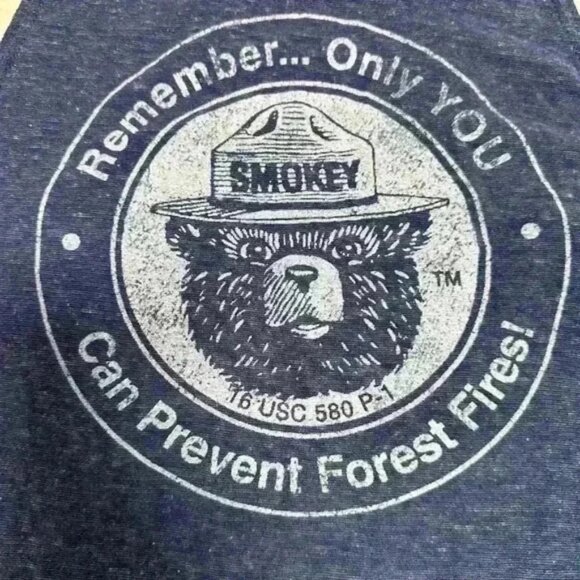 Smokey The Bear Blue Tank Top Parks And Rec Size Large - Picture 3 of 4
